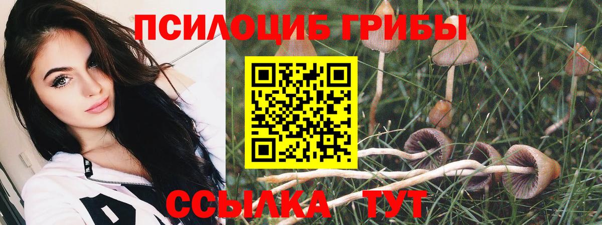 Псилоцибиновые грибы мицелий Ейск