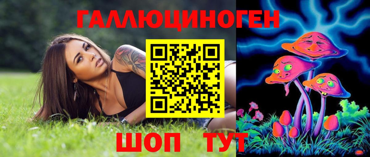 Псилоцибиновые грибы Cubensis  Псилоцибиновые грибы Psilocybe  Ейск  Вход с VPN 